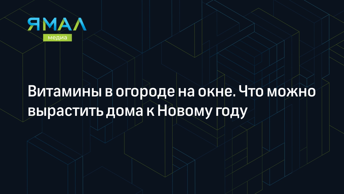 Витамины на окне. Как создать домашний огород | Ямал-Медиа