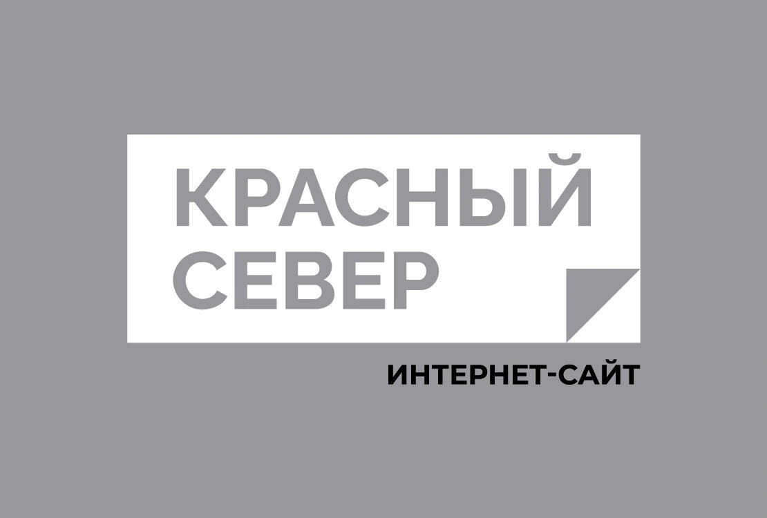 АО «Энерго-Газ-Ноябрьск» вышло на новый уровень, убедился замгубернатора  ЯНАО Сергей Карасёв | «Красный Север»