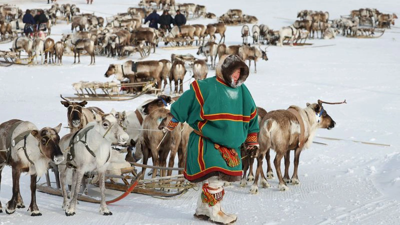 Труженики тундры на Ямале получат дополнительные меры поддержки