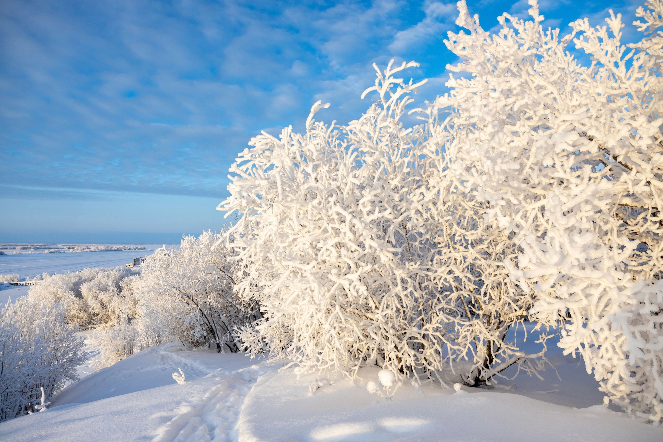 Ямальцы поделились зимними фотографиями северной природы
