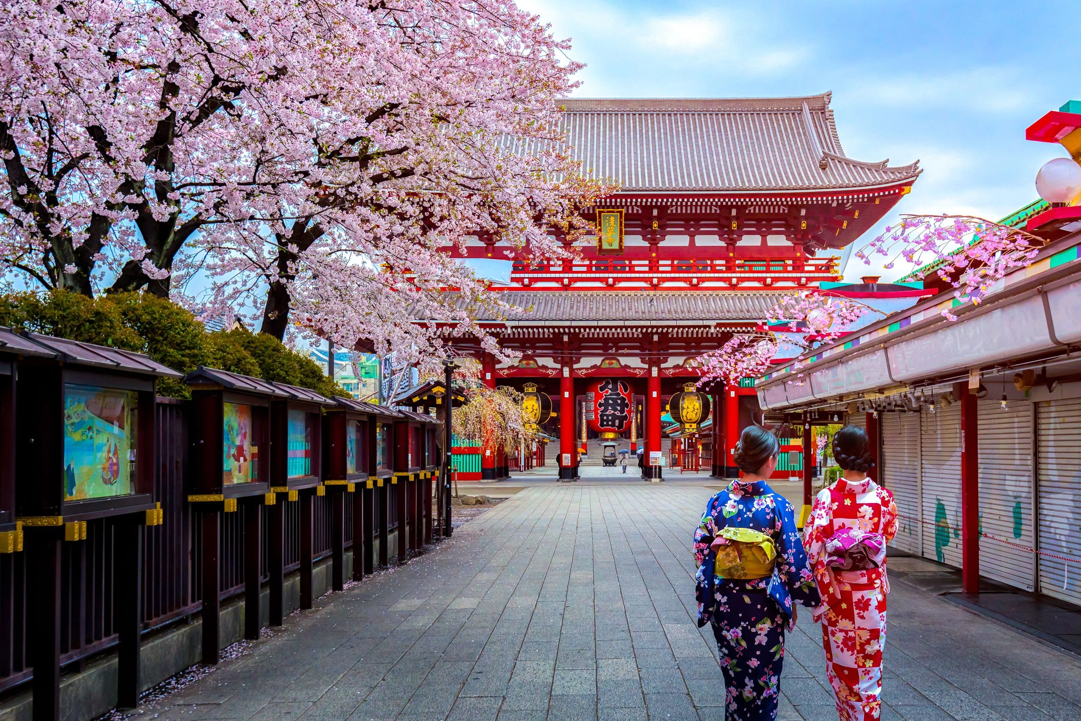 «Яндекс Путешествия» порекомендовали посмотреть сакуру в Японии, Китае и Франции