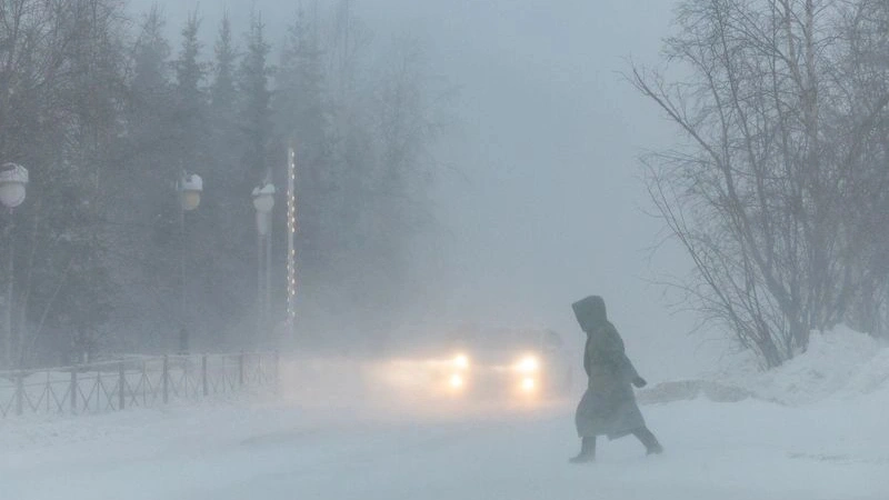 Метеорологи предупреждают о метелях на Ямале в ближайшие выходные