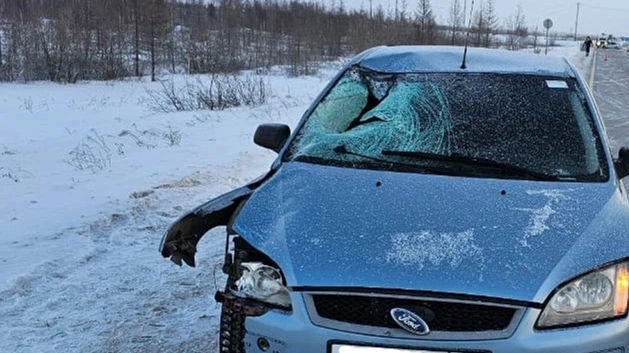 В ЯНАО на трассе Сургут – Салехард в двух ДТП пострадали пешеход и два водителя