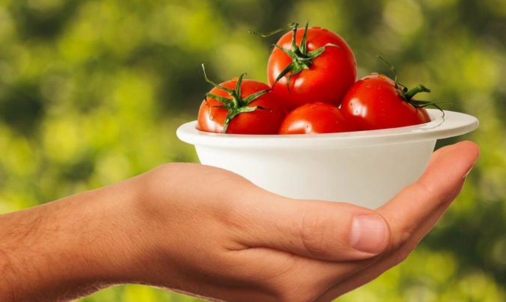 Почему организм требует томатный сок: причины, что делать