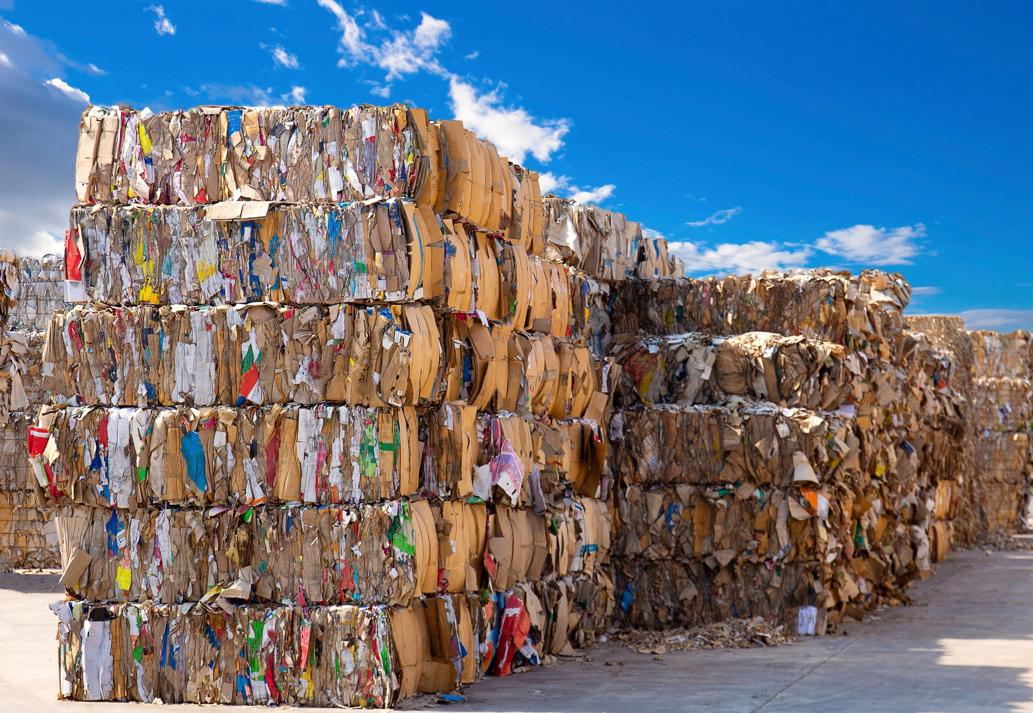 ПМЭФ-2024: три мусоросортировочных комплекса на 203 тысячи тонн построят в ЯНАО