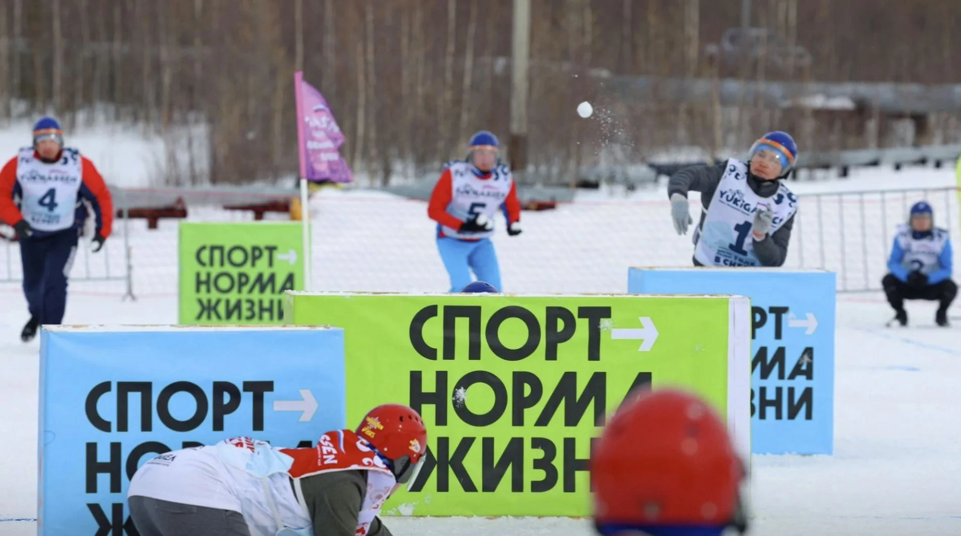 Холодные игры VS Zаморошка. Ямальцы голосуют за звучное название фестиваля  зимних игр | «Красный Север»