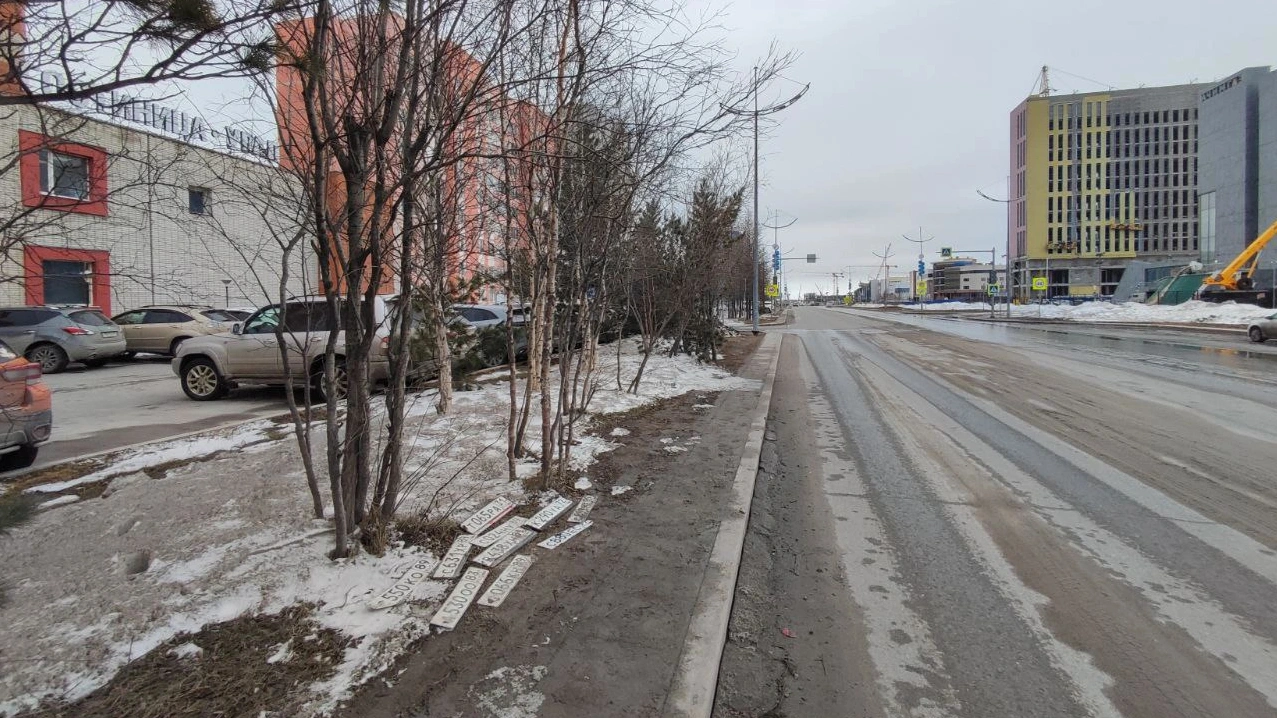 На дне лужи в Новом Уренгое обнаружили пачку автомобильных номеров