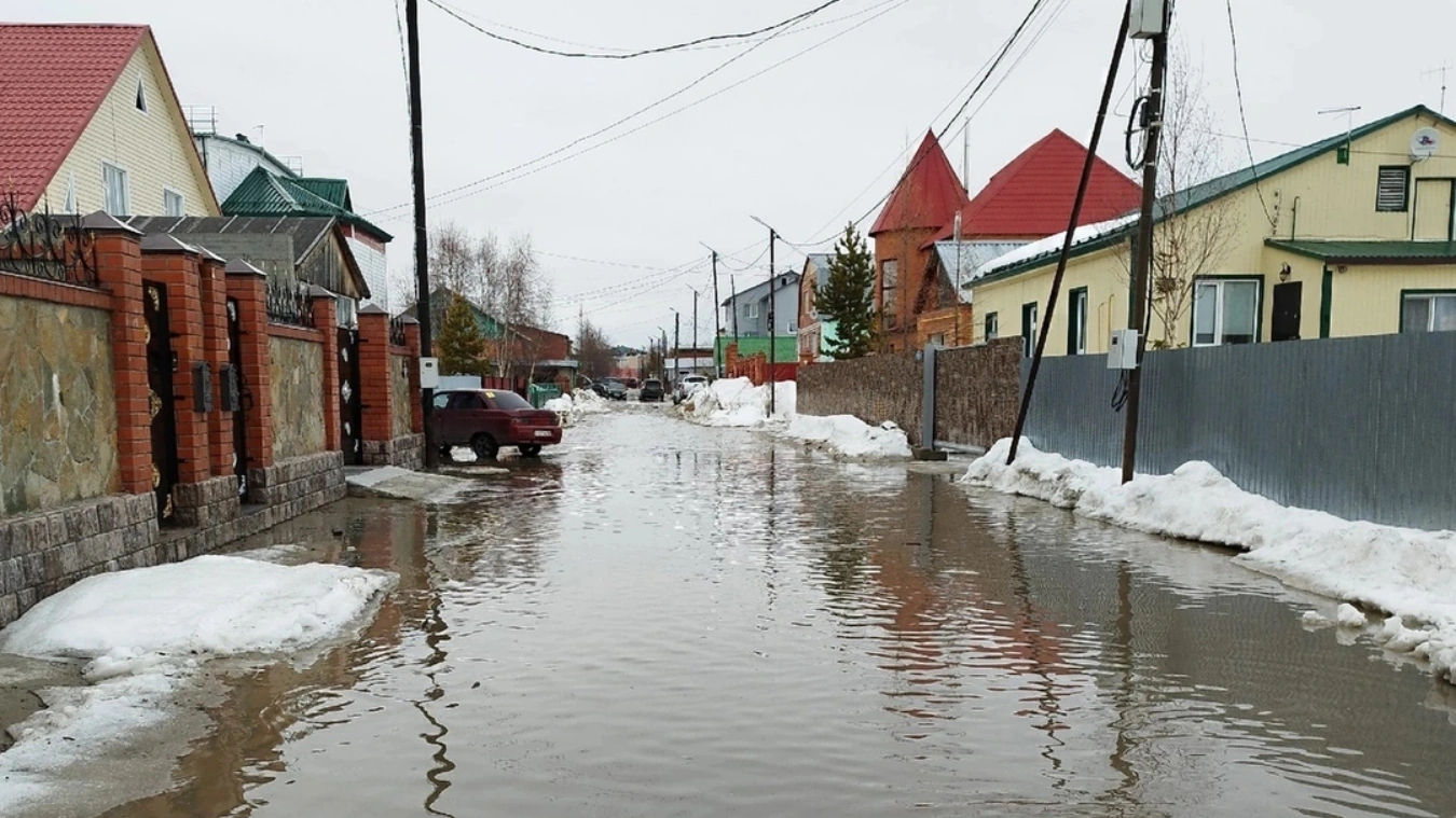 Компании тарко сале