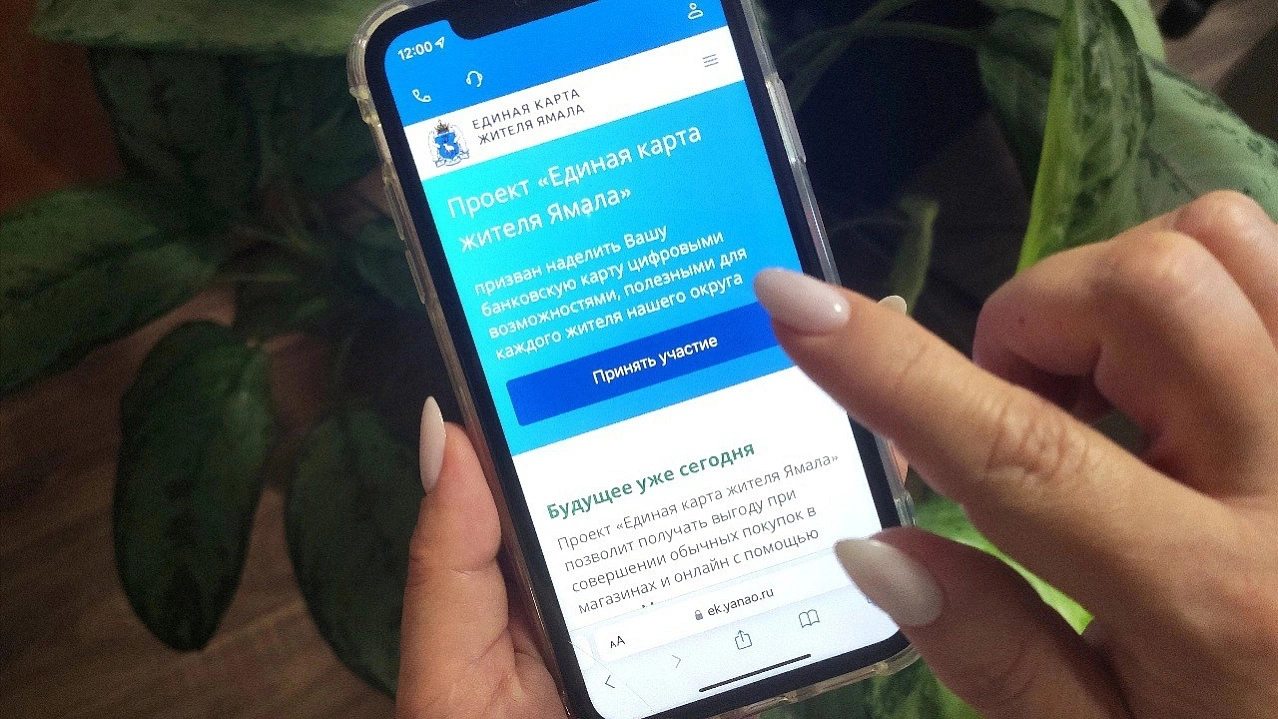 Единая карта жителя Ямала «Морошка» – как получить, как пользоваться,  возможности | Ямал-Медиа