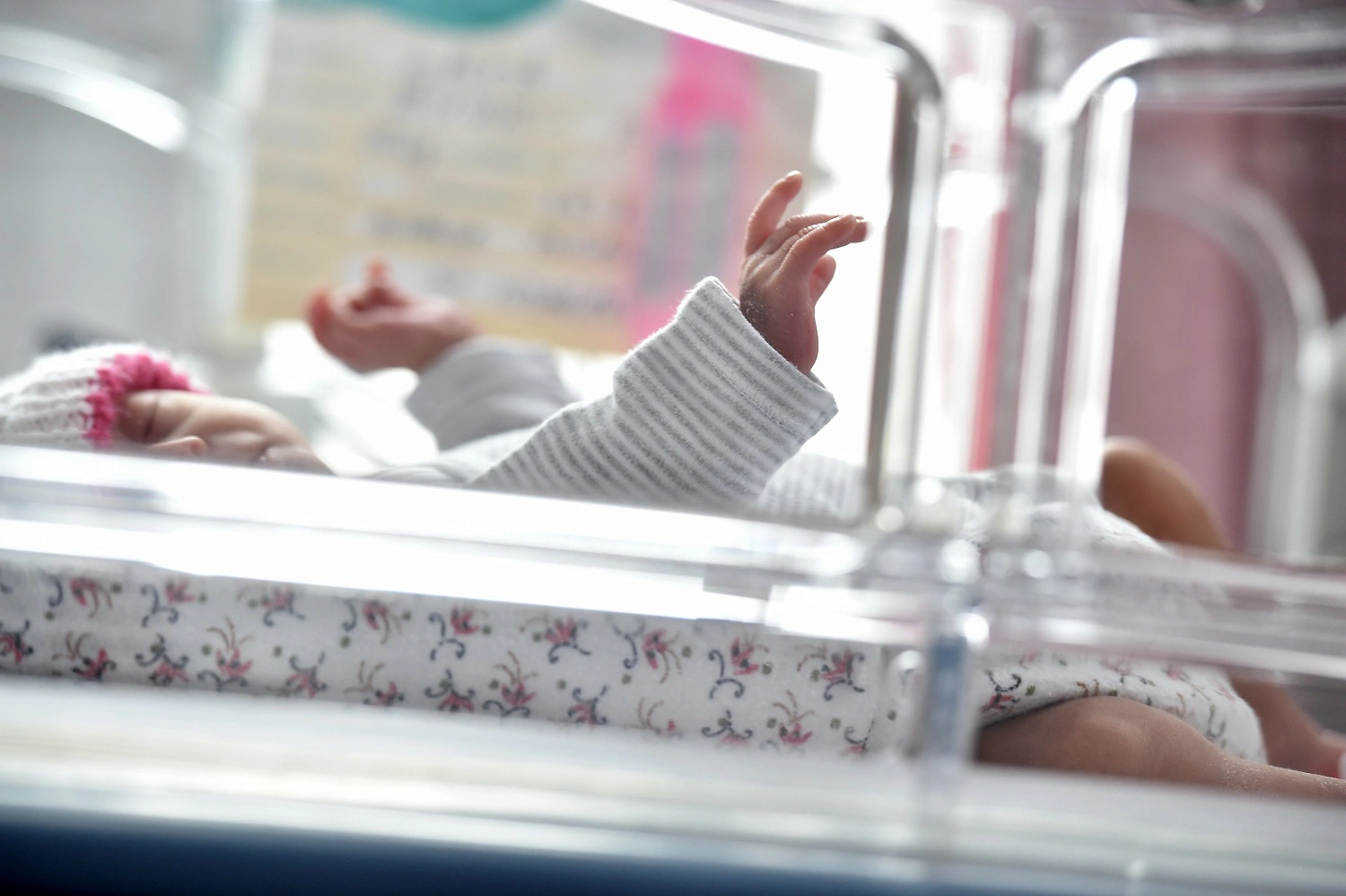 В Надыме дистанционно зарегистрировали первого ребенка в 2024 году