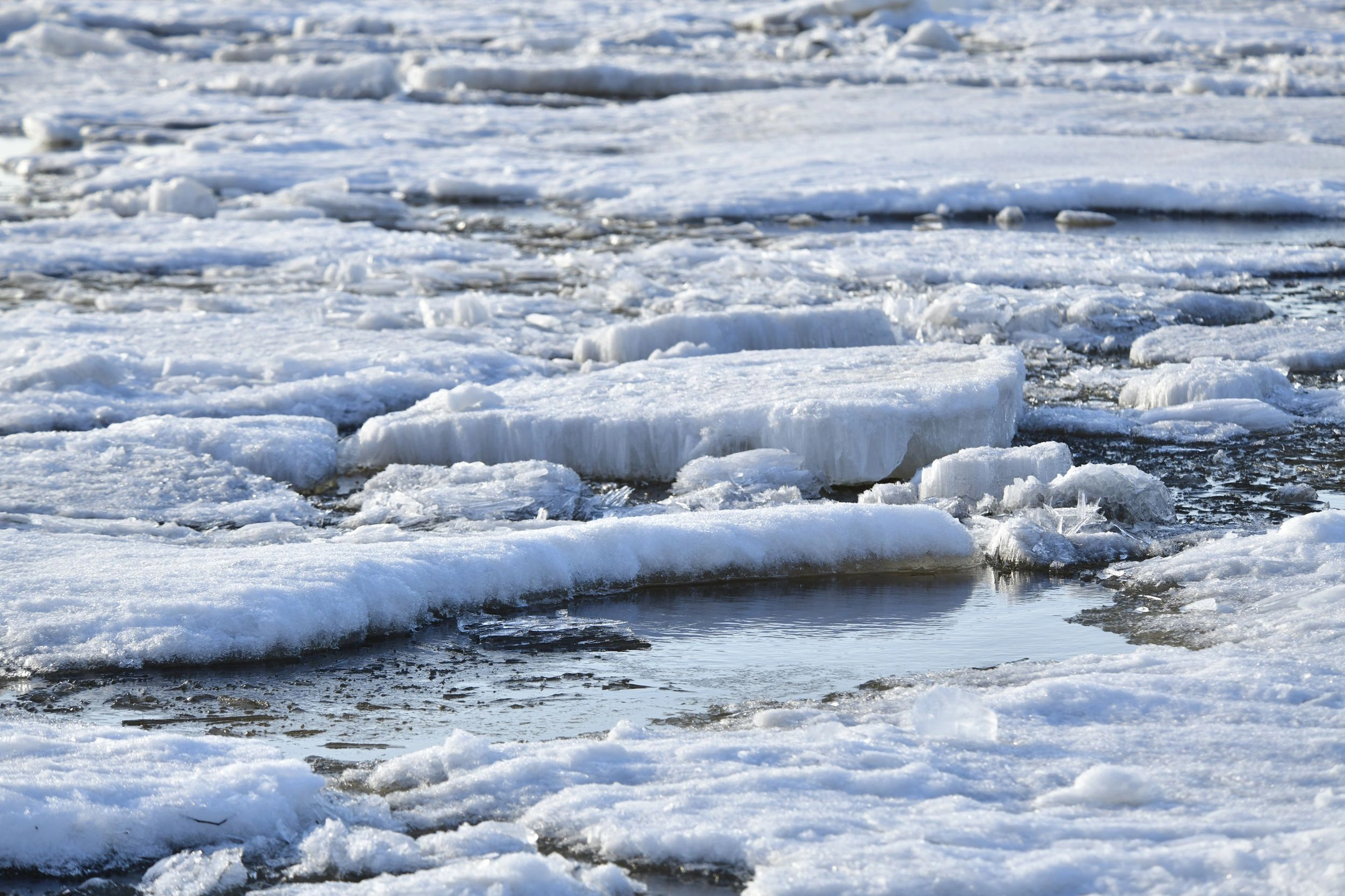 Ледоход-2024 на Ямале: в Шурышкарском районе началось движение льда на Оби