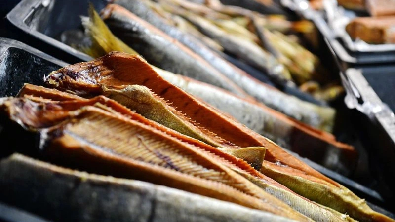 В Надыме построят цех по переработке северной рыбы