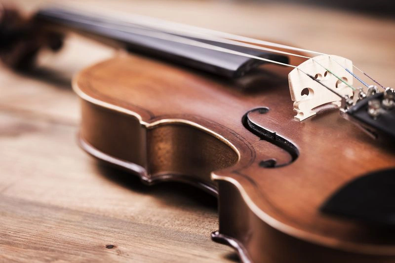 Музыкальные инструменты на прокат получили более 250 воспитанников ДШИ Ямала