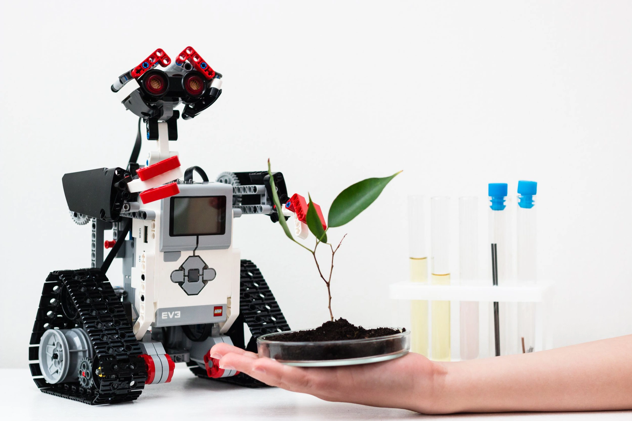 NRM: швейцарские учёные продвинулись в разработке съедобных роботов