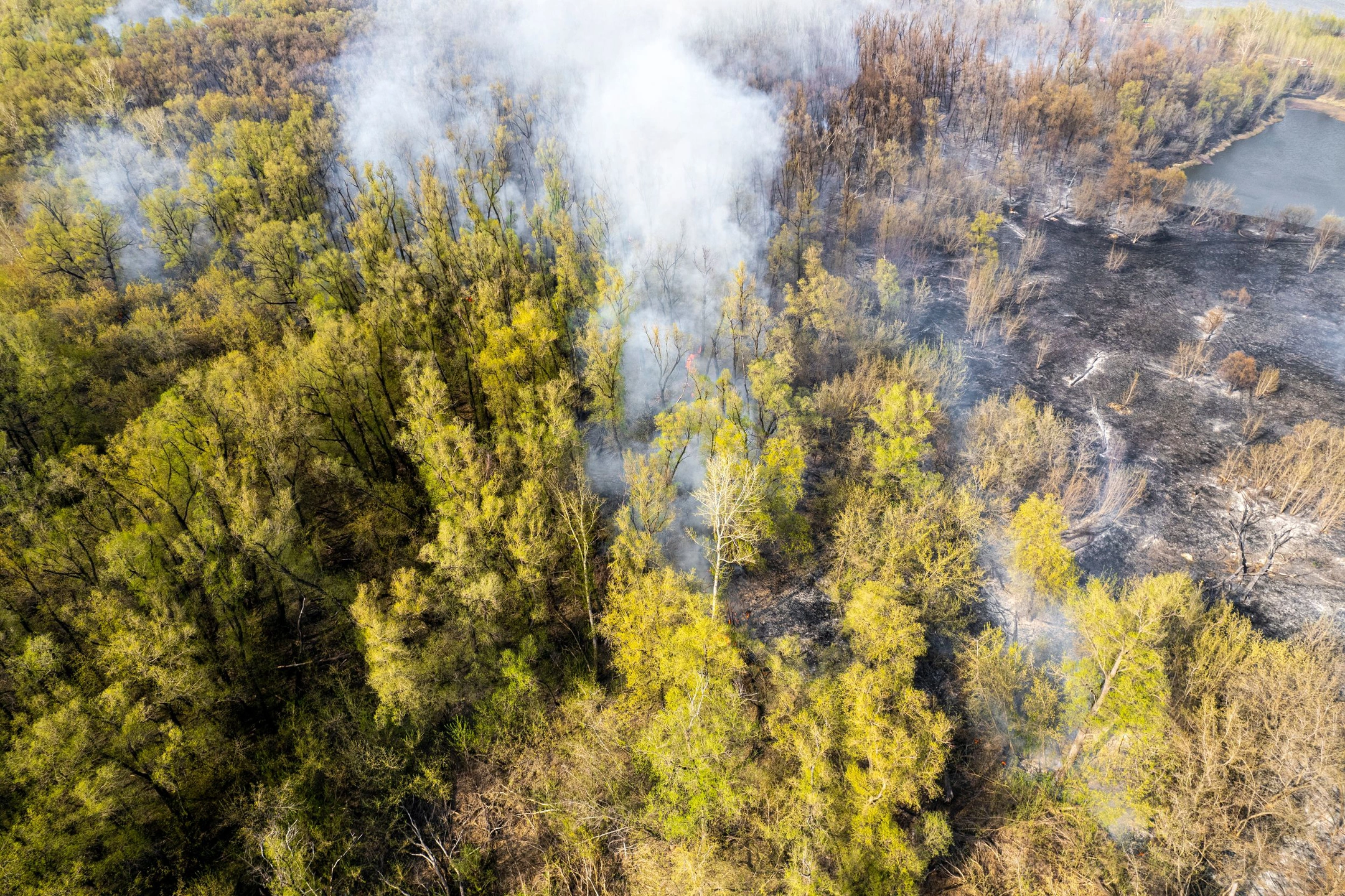 Ямалспас ликвидирует два лесных пожара площадью 2,9 га