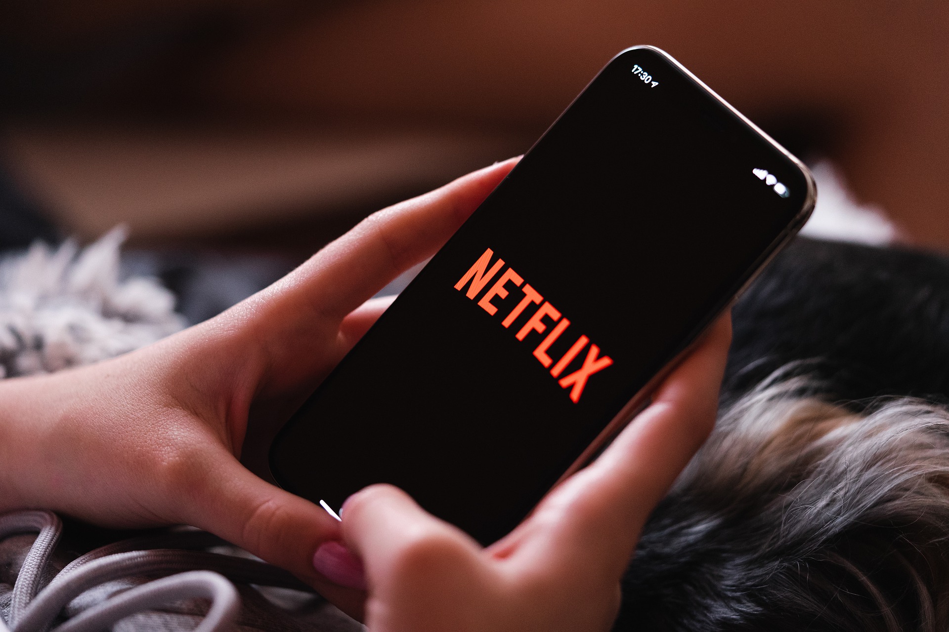 Приложение Netflix исчезло из российских App Store и Google Play |  Ямал-Медиа