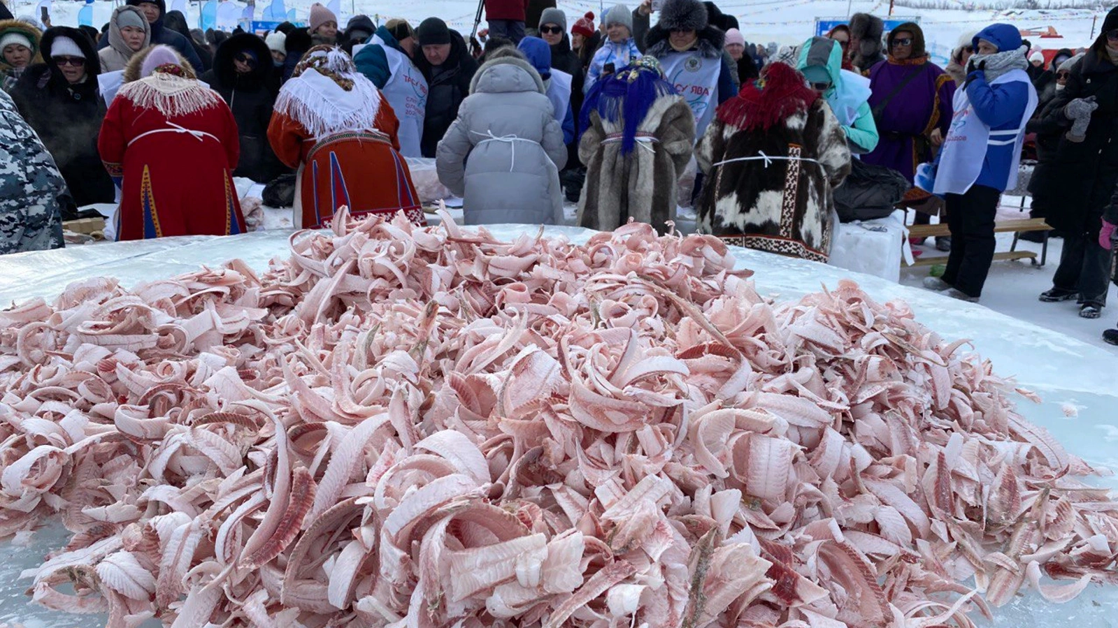 В Тазовском на Слёте оленеводов настрогали рекордные 140 килограммов рыбы