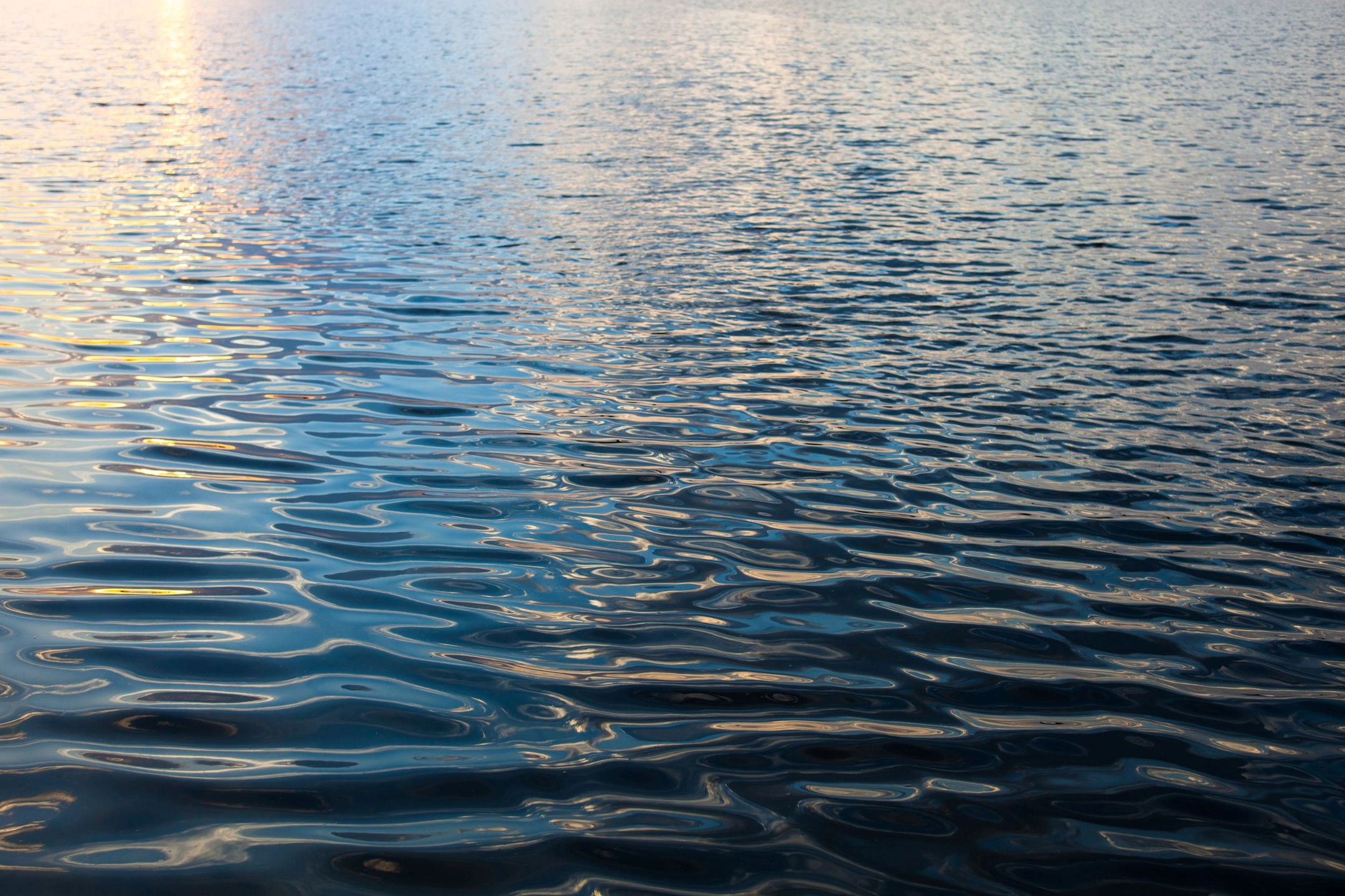В Надыме ищут оптимальный способ рекультивации озера Янтарного
