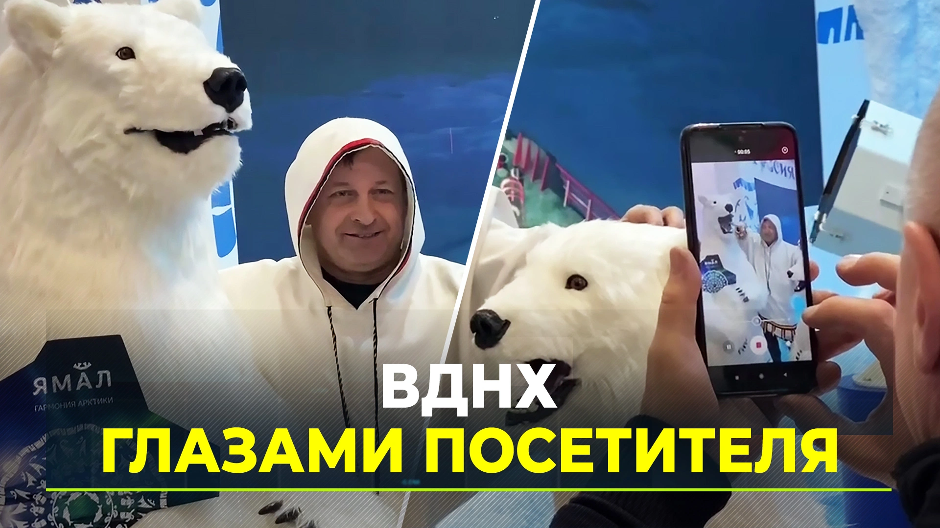 Самые запоминающиеся моменты выставки-форума «Россия» на ВДНХ глазами  посетителя | Ямал-Медиа