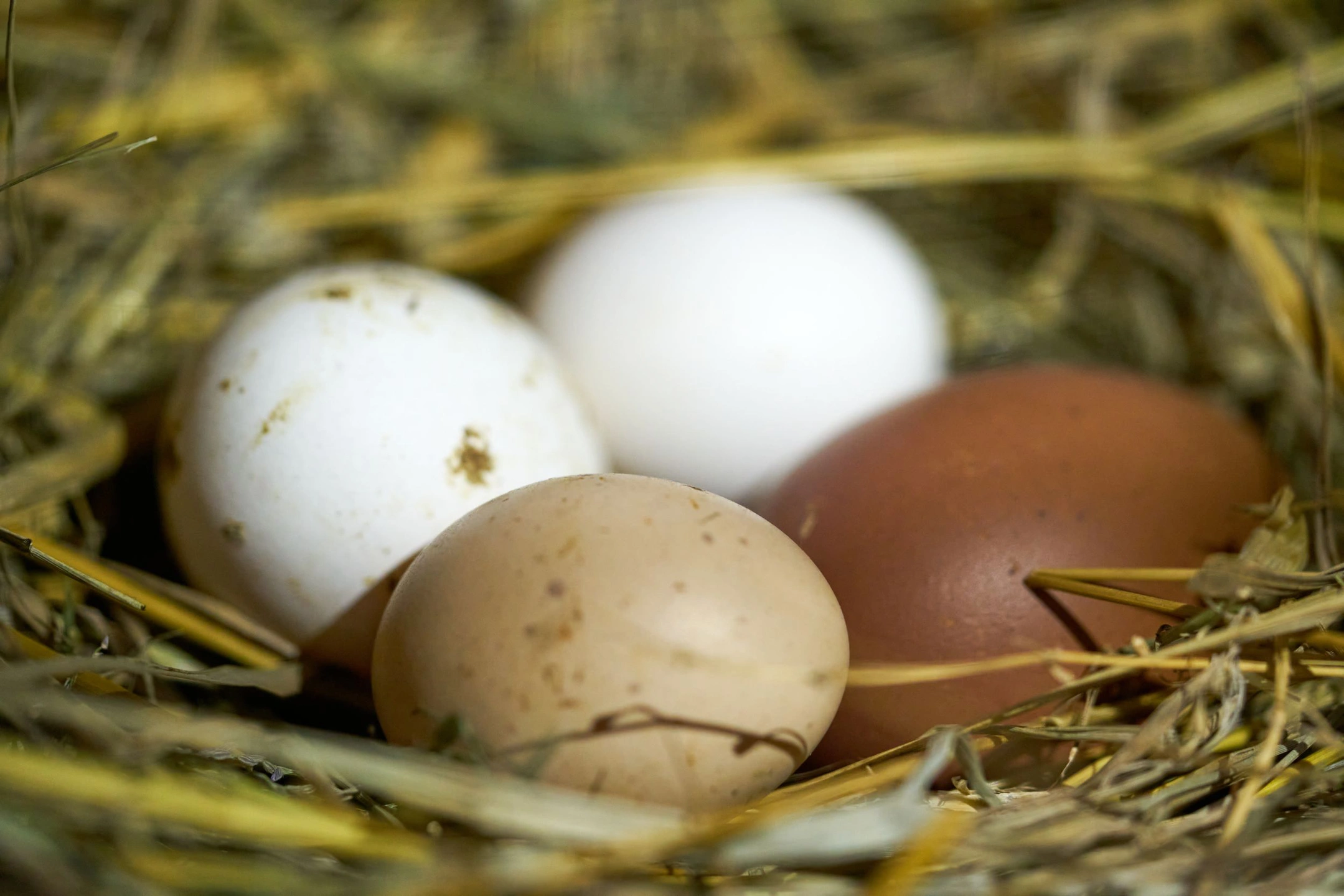 Гастроэнтеролог Логинов: яйца помогут похудеть