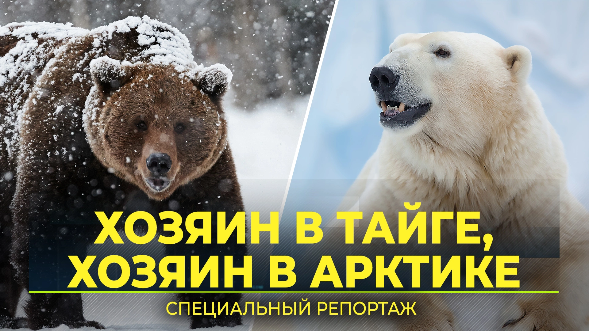 Хади Такташ»: чем известна группировка из Казани, которую показали в «Слове  пацана» | Ямал-Медиа