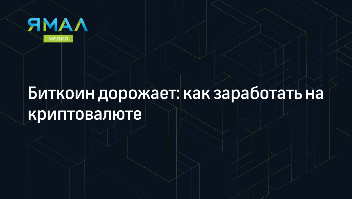 Биткоин дорожает: как заработать на криптовалюте | Ямал-Медиа