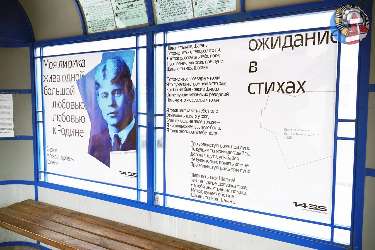 На стенах остановок в Ноябрьске появились цитаты из классических произведений