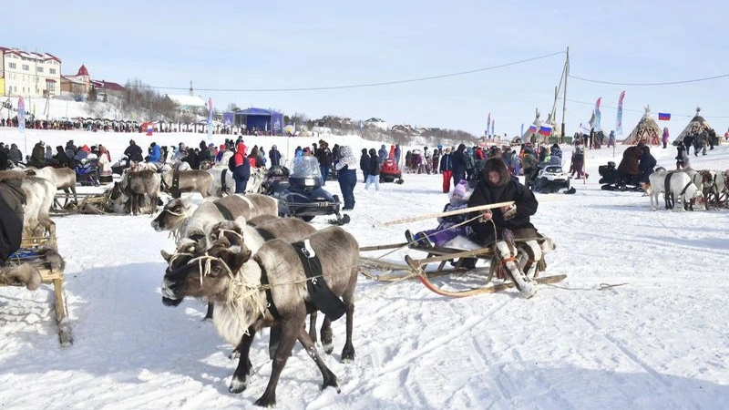 Москвичи, выигравшие путёвку на Ямал, увидят День оленевода в Салехарде