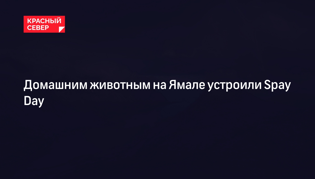 Медицина, Психиатр: новости, реформы, происшествия, личные истории — Все посты, страница 3 | Пикабу