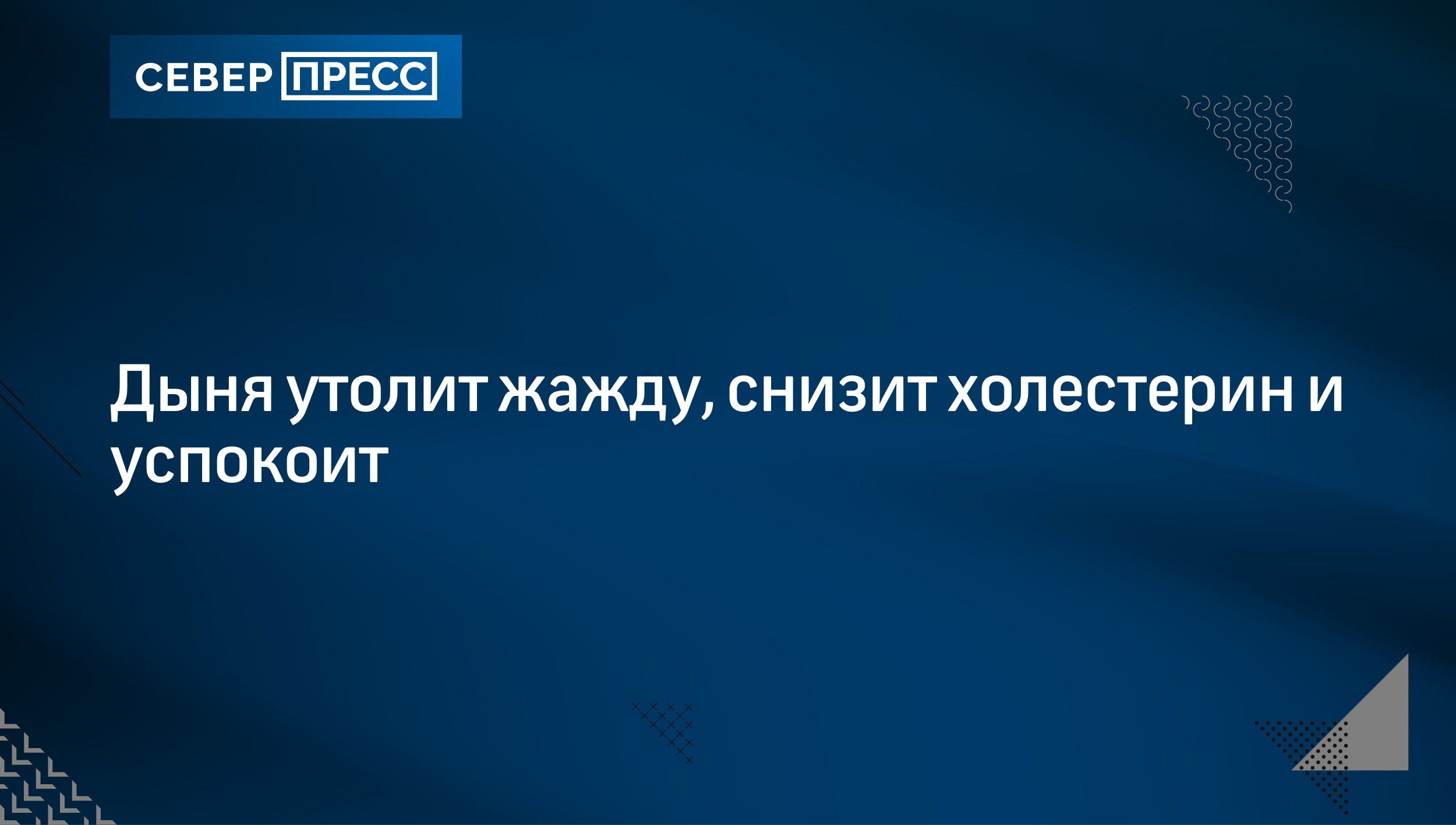 Дыня утолит жажду, снизит холестерин и успокоит | Север-Пресс