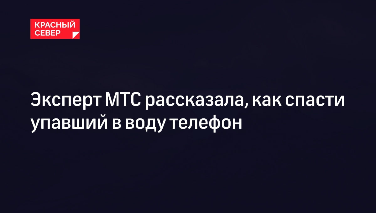 Эксперт МТС рассказала, как спасти упавший в воду телефон | «Красный Север»