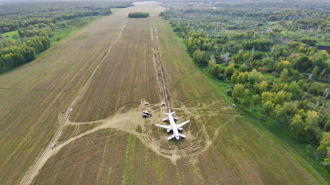 Пшеничное поле с аварийно севшим A320 показали на видео с высоты птичьего  полета | Ямал-Медиа