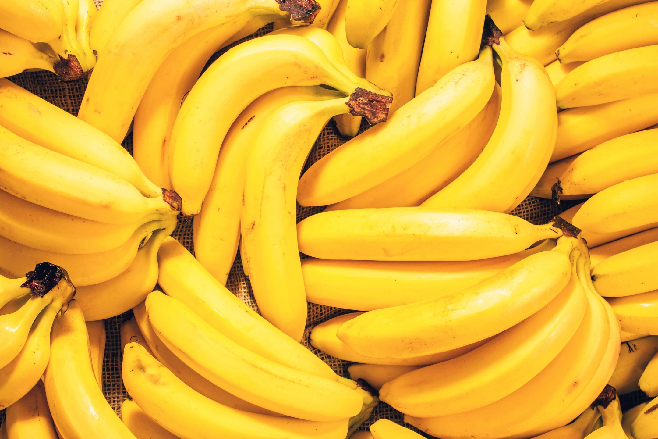 Россельхознадзор попросил Эквадор приостановить поставку заражённых бананов