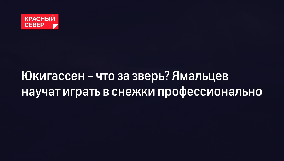 Юкигассен – что за зверь? Ямальцев научат играть в снежки профессионально |  «Красный Север»