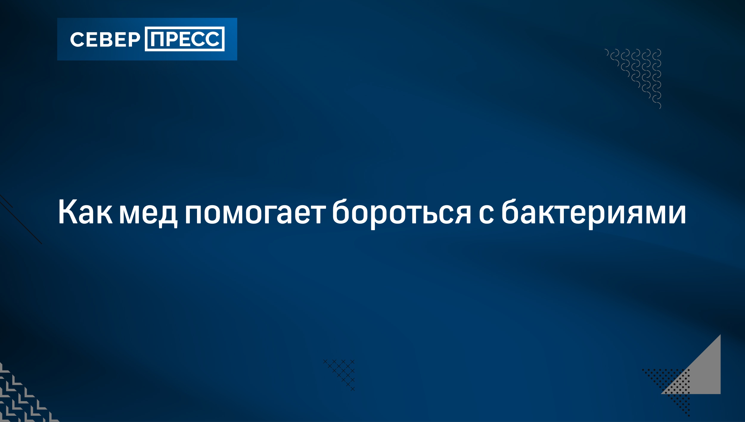 Как мед помогает бороться с бактериями | Север-Пресс