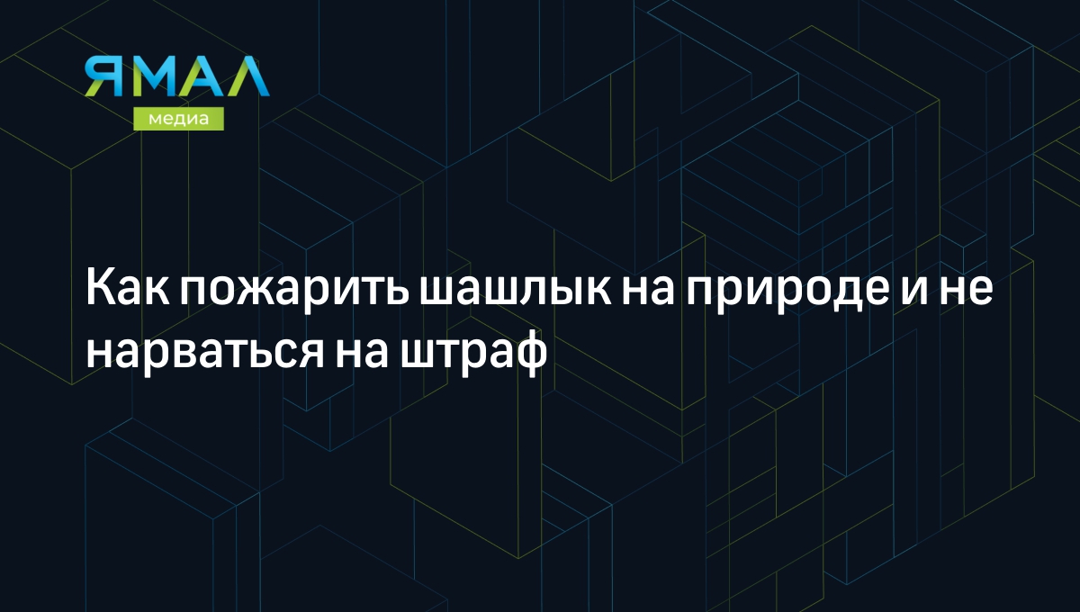 Шашлыки на природе 2024: где по закону можно и где нельзя жарить мясо |  Ямал-Медиа