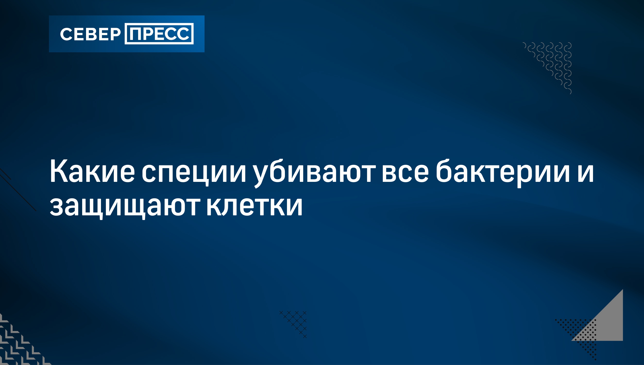 Какие специи убивают все бактерии и защищают клетки | Север-Пресс