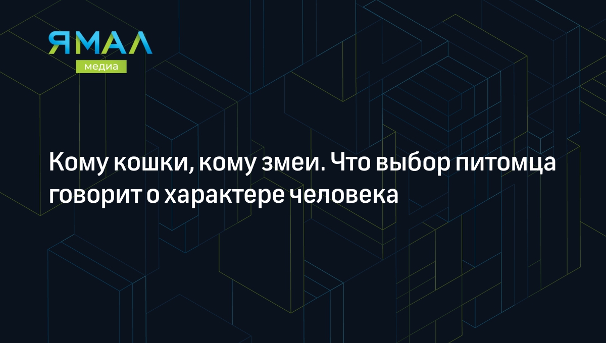 Кому кошки, кому змеи. Что выбор питомца говорит о характере человека |  Ямал-Медиа