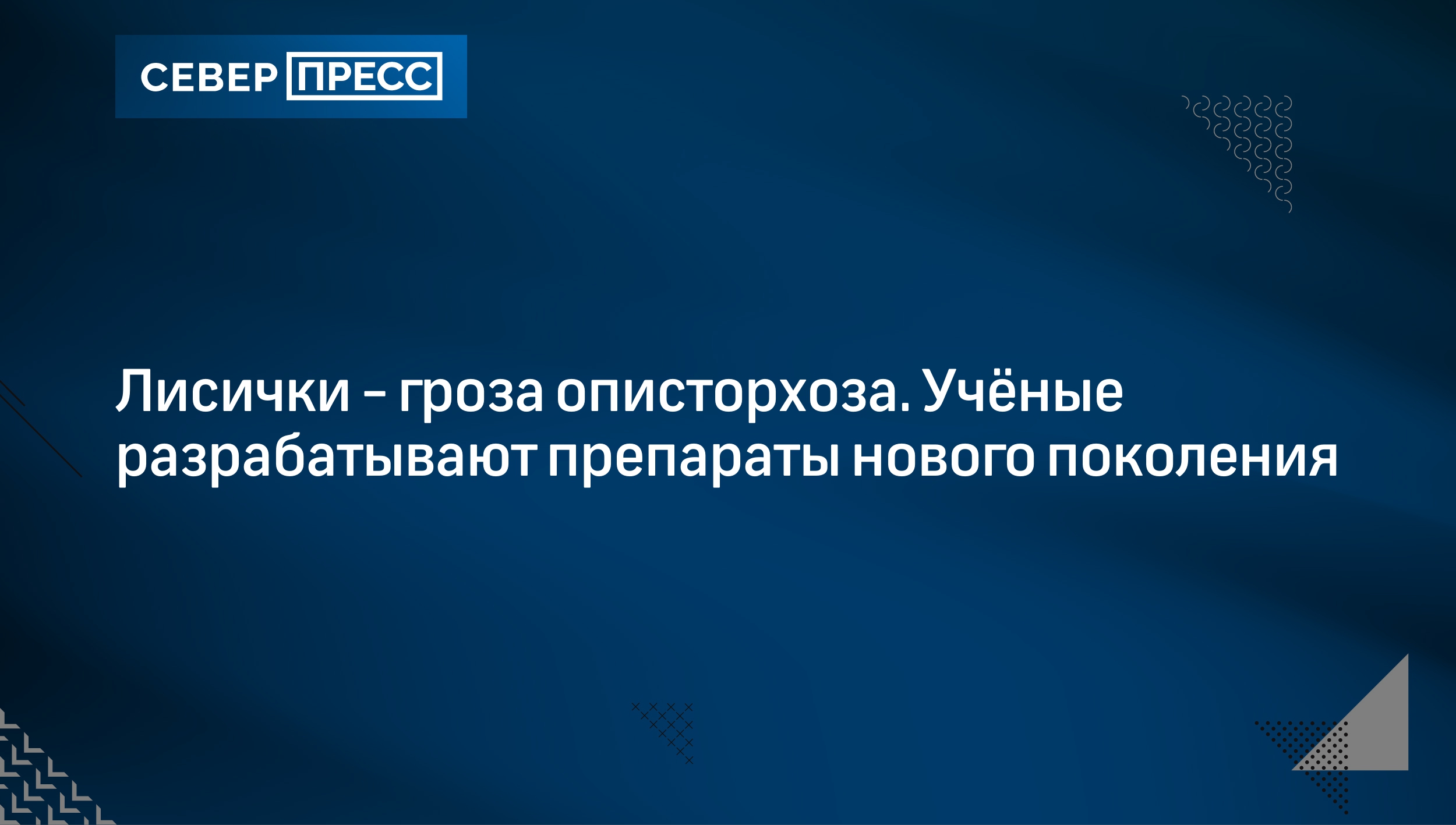 Лисички - гроза описторхоза. Учёные разрабатывают препараты нового  поколения | Север-Пресс