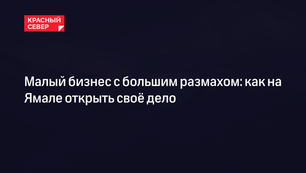 Малый бизнес с большим размахом: как на Ямале открыть своё дело | «Красный  Север»