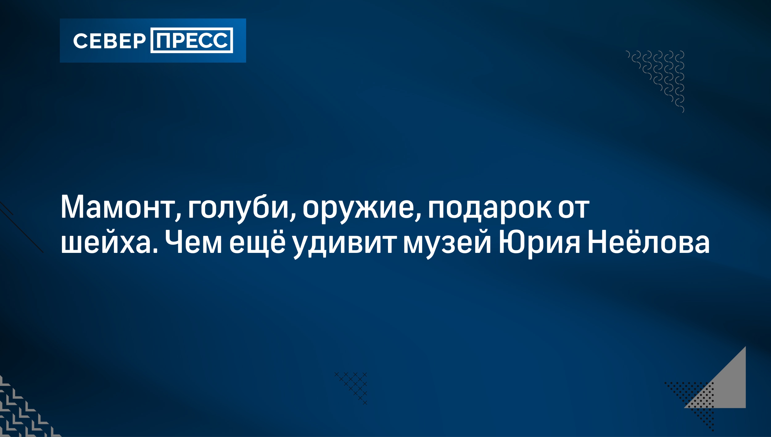 Мамонт, голуби, оружие, подарок от шейха. Чем ещё удивит музей Юрия Неёлова  | Север-Пресс