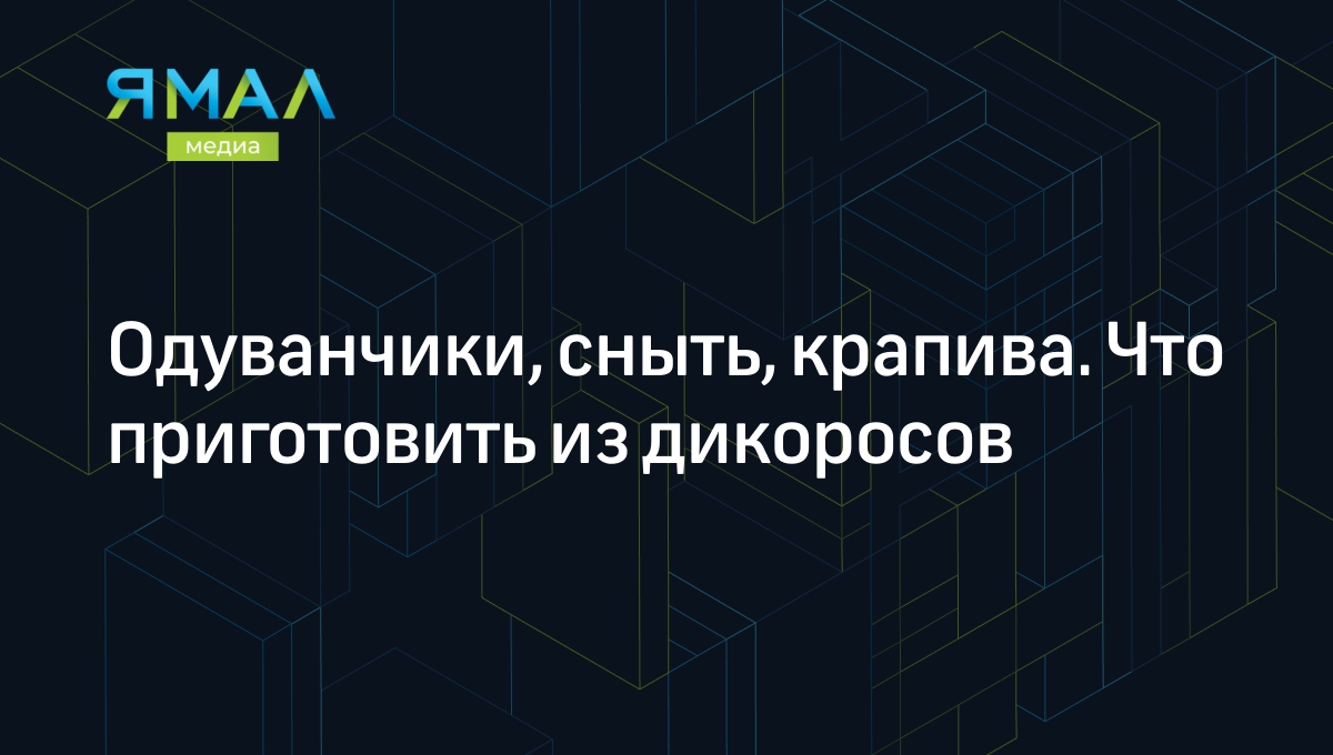 Шесть рецептов блюд из дикорастущих растений: полезно и дешево | Ямал-Медиа