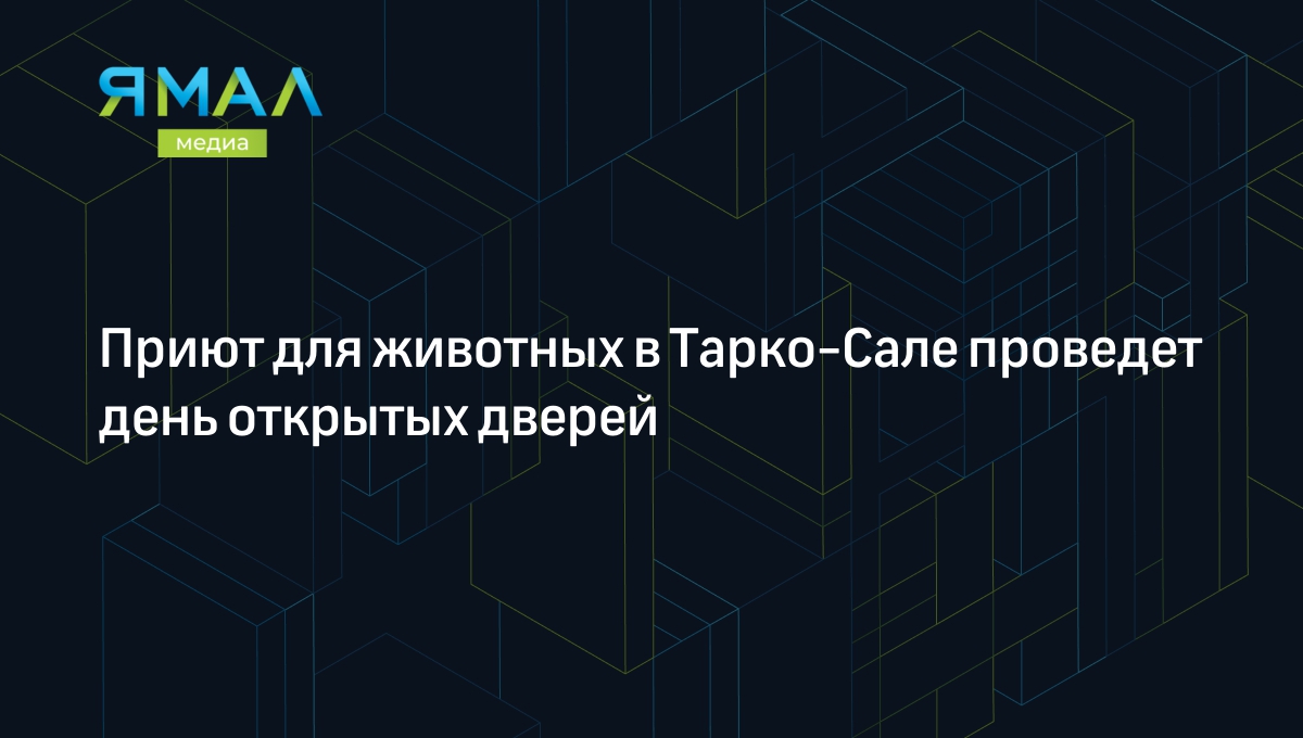 Приют для животных в Тарко-Сале проведет день открытых дверей | Ямал-Медиа