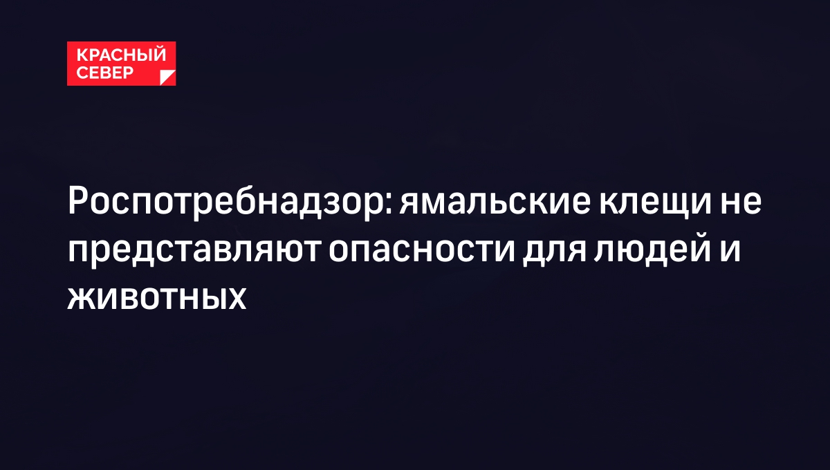 Роспотребнадзор: ямальские клещи не представляют опасности для людей и  животных | «Красный Север»