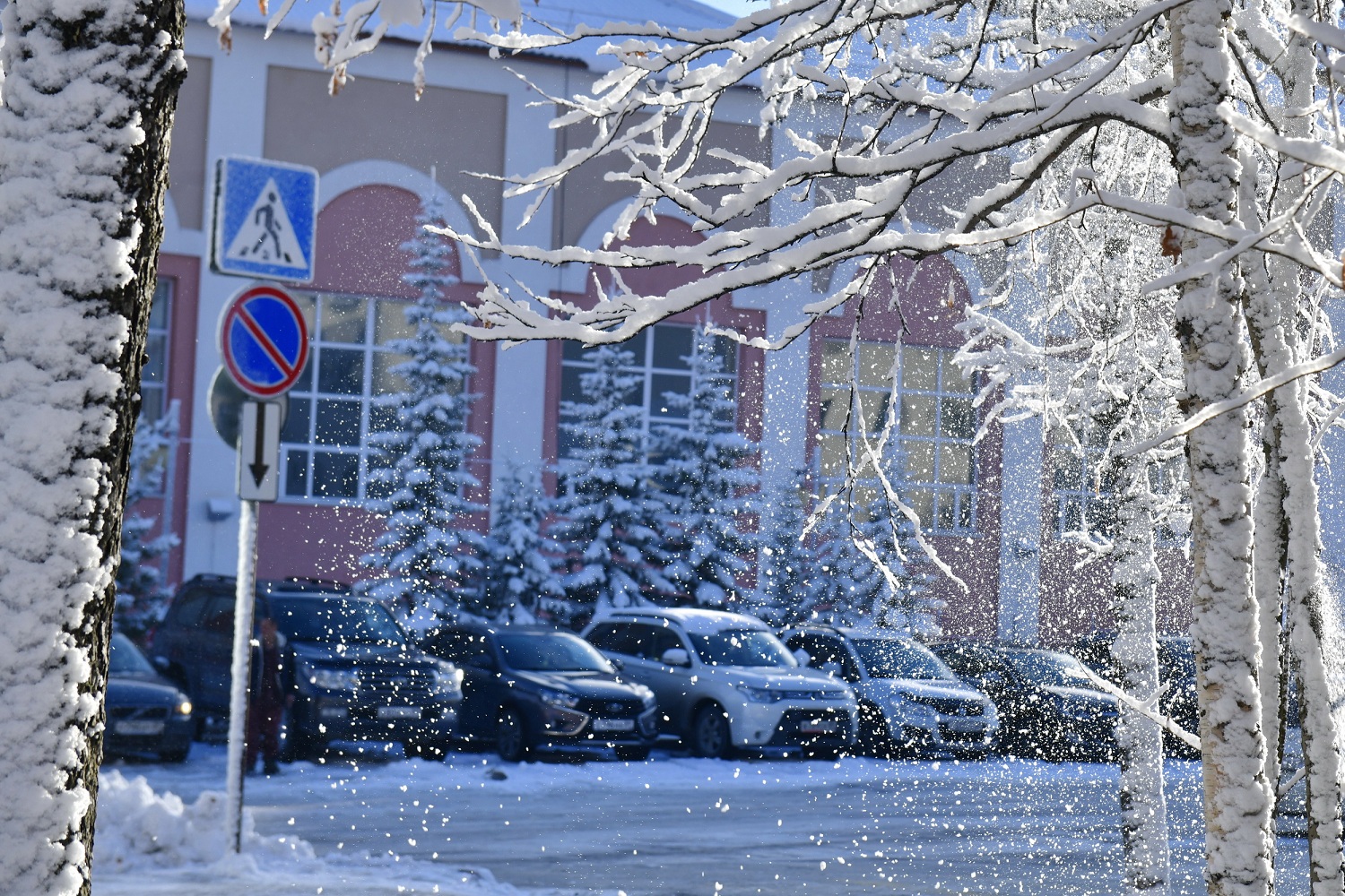 Салехард словно в снежной сказке, а южнее – все еще серая осень»: тюменец  окунулся в самую белую зиму | «Красный Север»