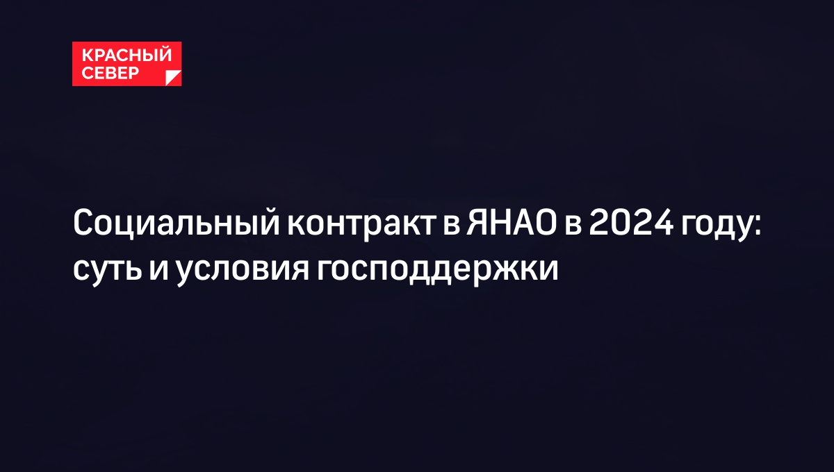 Социальный контракт 2024: как получить и на что потратить | «Красный Север»