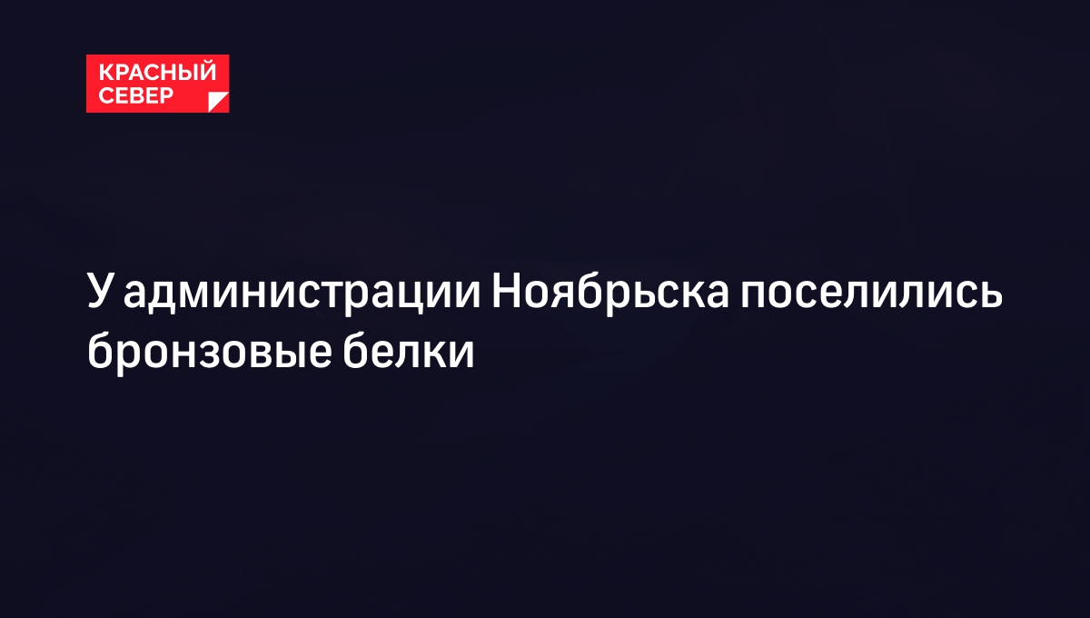 У администрации Ноябрьска поселились бронзовые белки | «Красный Север»