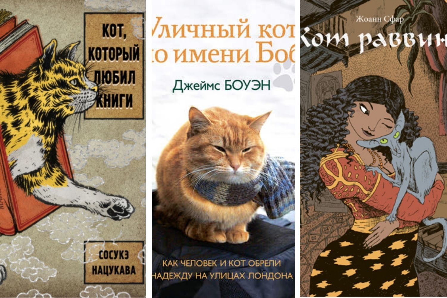 Устами котёнка: рыжий спаситель, хранитель книг и алжирский говорун |  «Красный Север»