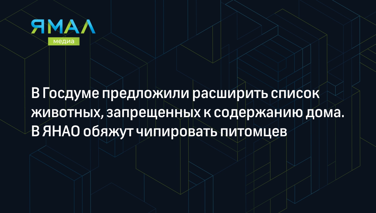 В Госдуме предложили расширить список животных, запрещенных к содержанию  дома. В ЯНАО обяжут чипировать питомцев | Ямал-Медиа