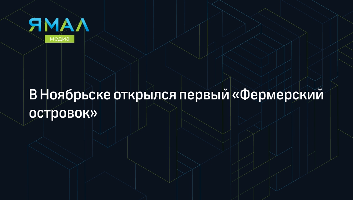 В Ноябрьске открылся первый «Фермерский островок» | Ямал-Медиа